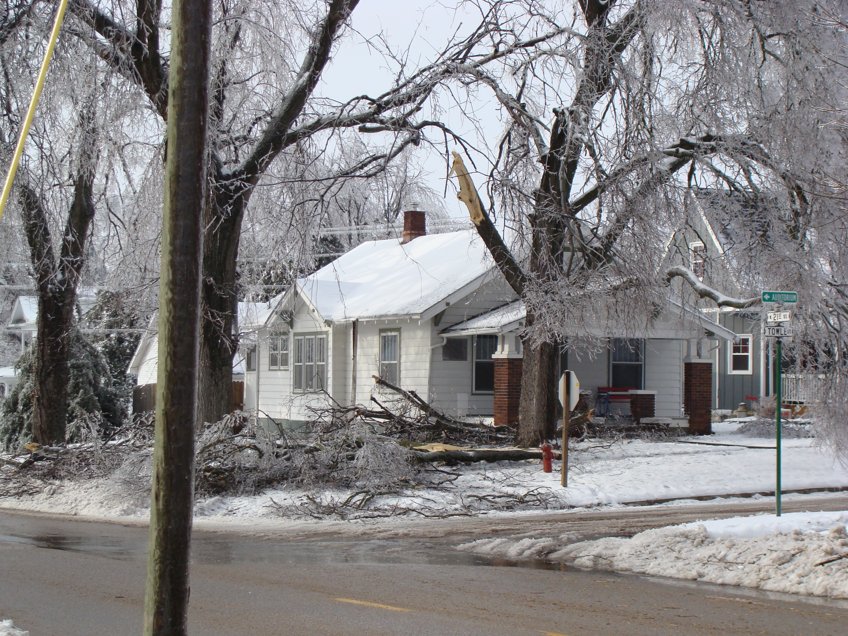 Ice storm brings down limb in homeowner's yard. 